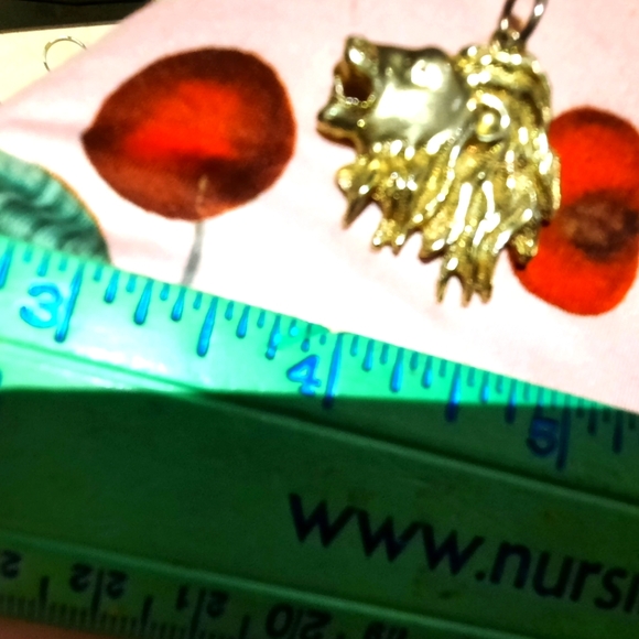 AUTHENTIC GENUINE SOLID 14K YELLOW GOLD LEO ♌️ LION 🦁 HEFTY WIDE PENDANT CHARM - Picture 1 of 6